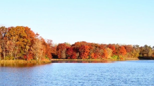 Ein ruhiger See mit Herbstlaub.