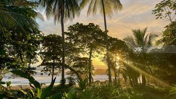 ビーチ、ビーチタオル