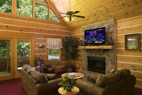 TV, fireplace, video games, DVD player