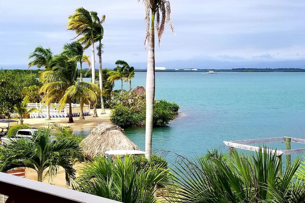 GOLD STANDARD PROPERTY: Condo on Caribbean Sea, includes 2 kayaks and 4 bicycles