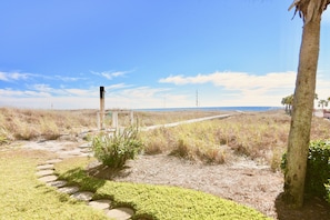 Een pad dat naar een strand leidt, met een palmboom en een houten constructie.