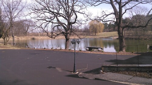 Lakehouse Available For Rent, Rest And Relaxation