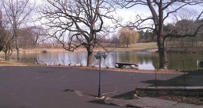 Lakehouse Available For Rent, Rest And Relaxation