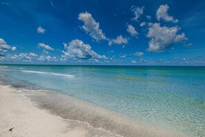 Nära stranden