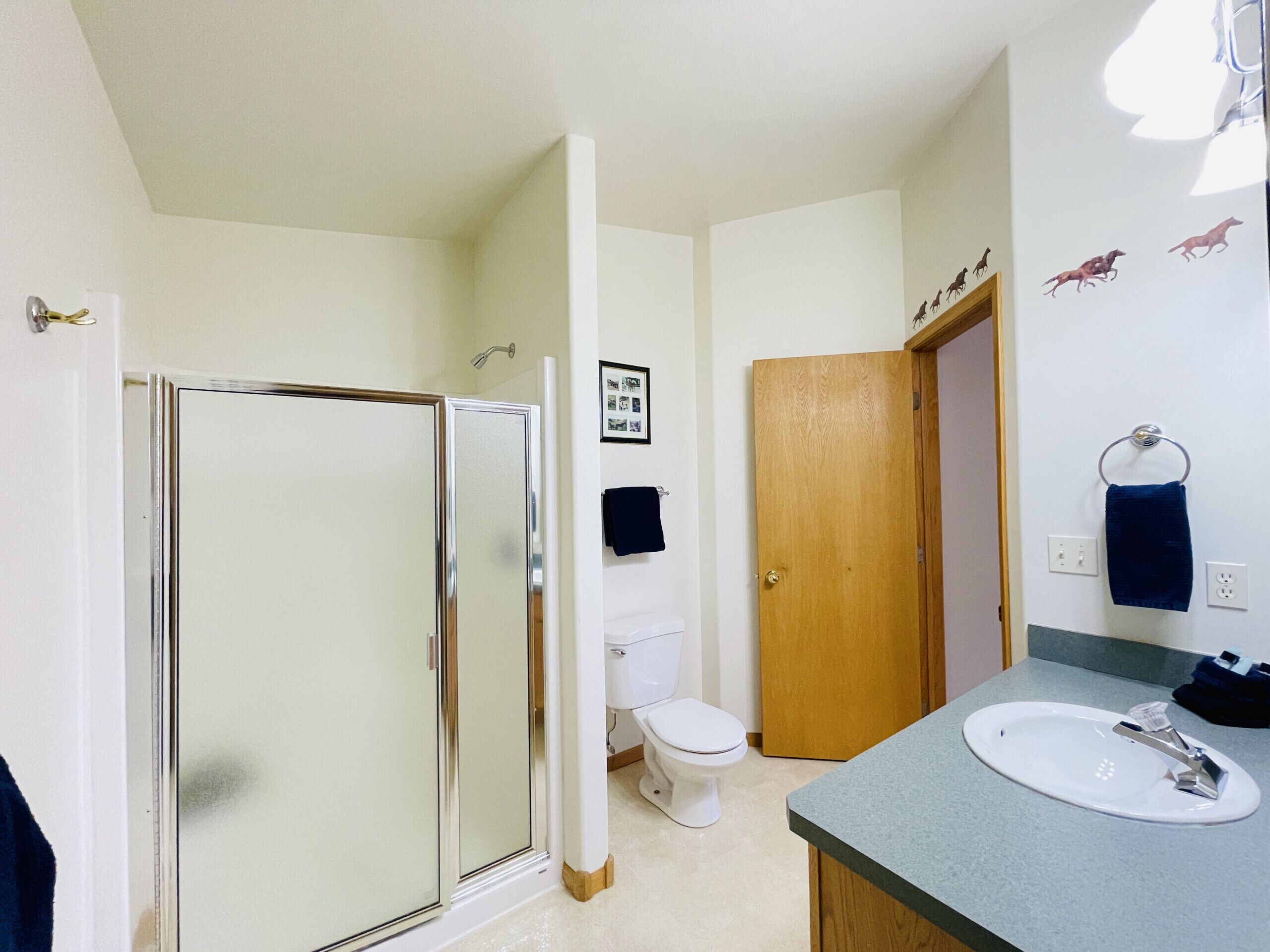 Bathtub, hair dryer, towels