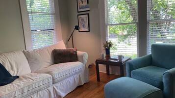 TV, fireplace, books