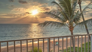 A beach with a palm tree and ocean view.