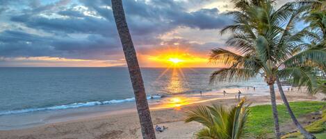 Plage, chaises longues, serviettes de plage