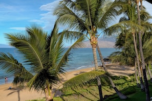 A beach with palm trees, a clear sky, and a view of the ocean.