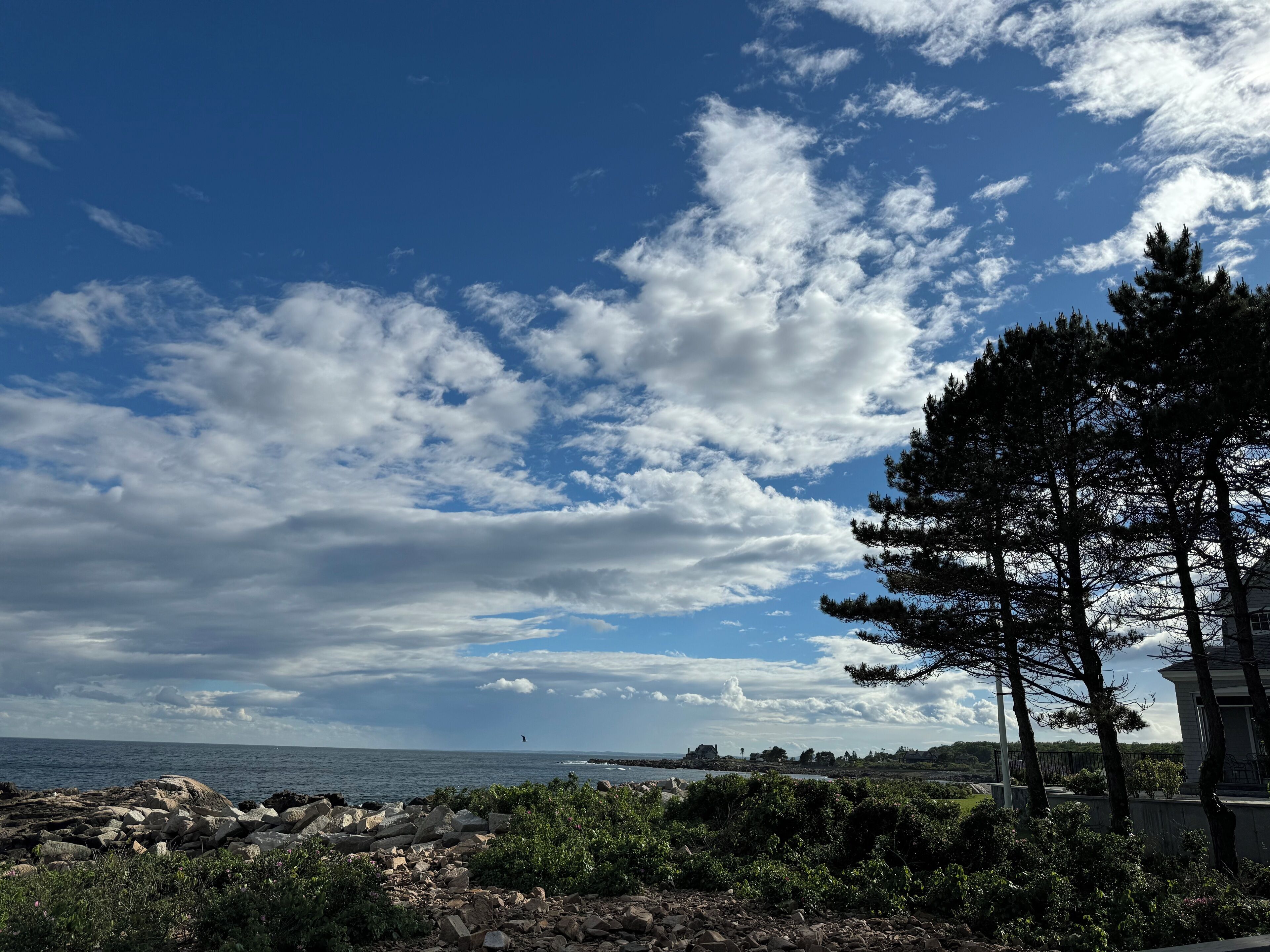A coastal landscape with a rocky shoreline, dense greenery, and a clear blue sky with scattered clouds.