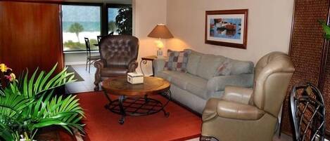 Älytelevisio, DVD-soitin, kirjoja, musiikkikirjasto