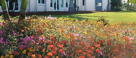 A hotel with a white facade, blue accents, and a lush garden with colorful flowers.