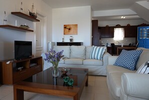 TV, fireplace, DVD player