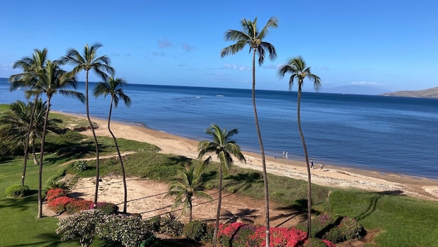 A beach with palm trees and a clear view of the ocean. - Weekly and Monthly Discounts / Koa Lagoon Direct Oceanfront Top Floor Unit 603 (Kihei)