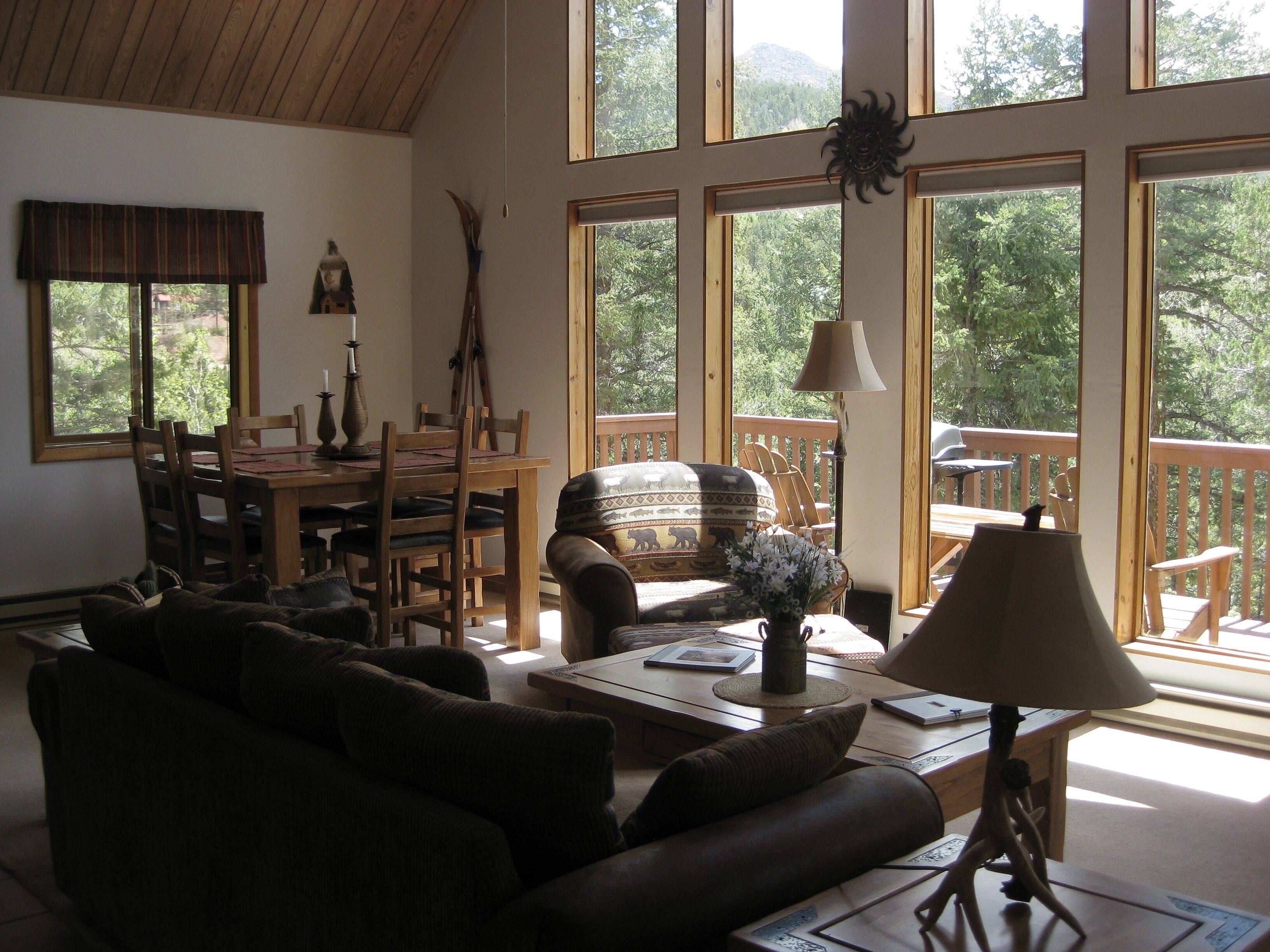 Flat-screen TV, DVD player, books, video library