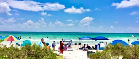 Playa en los alrededores