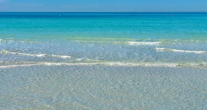 Siesta Key, Sea Horse Villa, Pool. Daily rentals