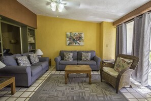 Smart TV, DVD player, books, video library