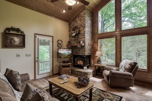 TV, fireplace