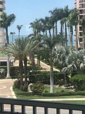 A coastal view with palm trees and a road leading to a building with multiple floors.