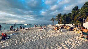 A crowded beach with palm trees, umbrellas, and people enjoying the seaside. - Oceanside Villa "Campeche" with a/c pool in centro     5 min stroll to beach (isla mujeres)