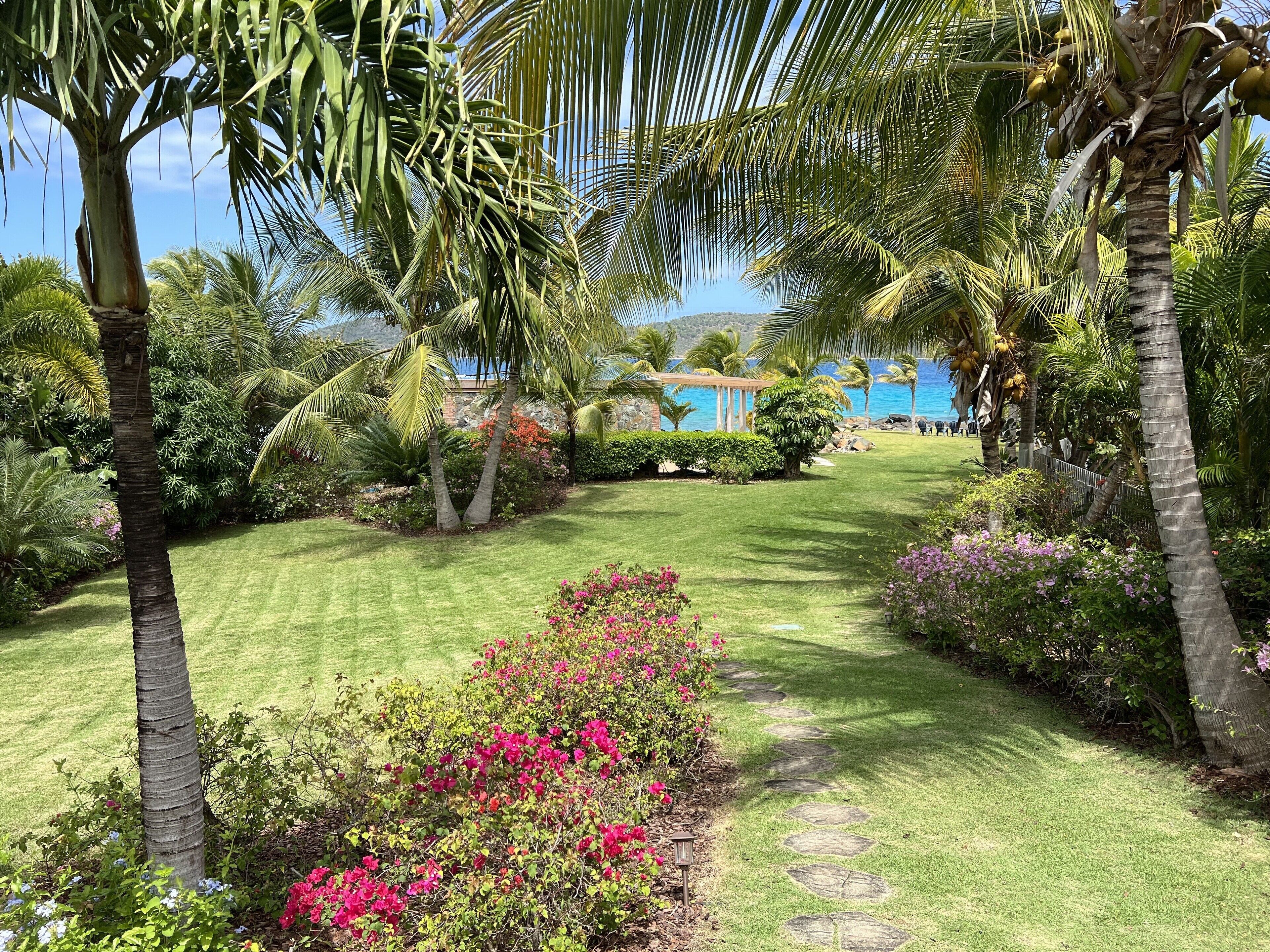 Ein gepflegter Garten mit verschiedenen tropischen Pflanzen, einem klaren Weg und Blick auf den Ozean.