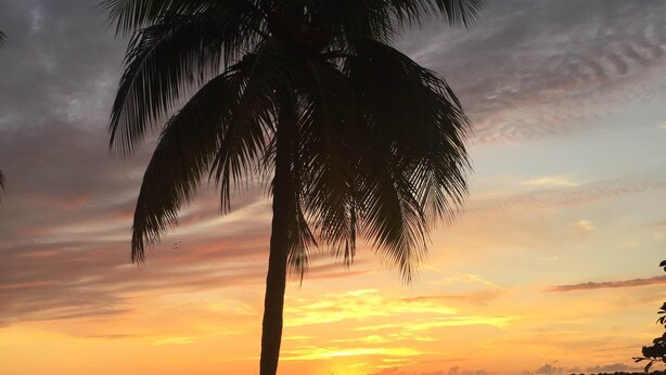 Un atardecer sobre un cuerpo de agua, con la silueta de una palmera y sillones de playa en la orilla.