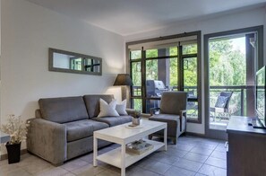 Télévision, lecteur de DVD, chaîne hi-fi