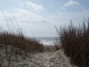 Sulla spiaggia, lettini da mare
