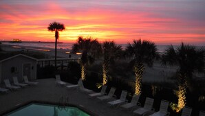Un espace aménagé au bord de la piscine, avec des chaises longues et un palmier, d’où l’on peut admirer une plage au coucher du soleil.