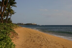 A sandy beach with palm trees and a view of the ocean.