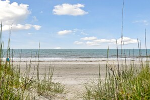 On the beach