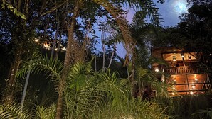 Una estructura de madera con una escalera rodeada de abundante vegetación y luces colgantes.