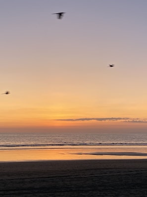 Serviettes de plage