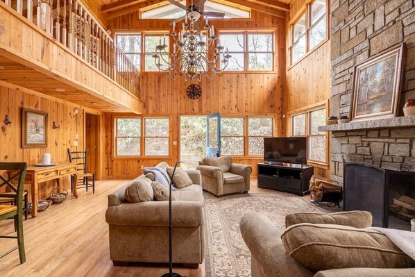 Smart TV, fireplace, DVD player, books