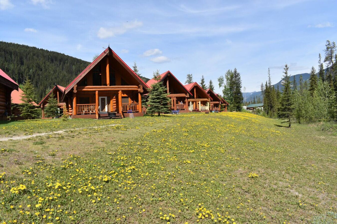 Une rangée de chalets en rondins, devant laquelle s’étend un champ verdoyant, le tout entouré d’arbres et de montagnes.