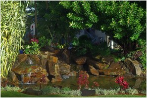 Àrea exterior de l'allotjament