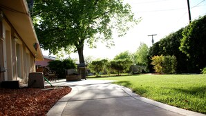 A sidewalk leading to a building with a tree-lined yard. - A Desert Bloom House (Page)