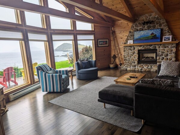 TV connectée, cheminée, lecteur de DVD, livres