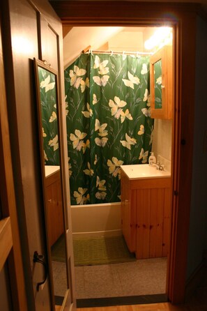 Duschwanne, Haartrockner, Handtücher, Seife