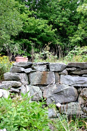 Eine steinerne Mauer mit einem Blumentopf darauf, umgeben von Grünpflanzen.