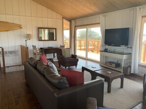 Smart TV, fireplace, DVD player, stereo - Ocean View Beach House in the Sand Dunes on Monterey Bay (Watsonville)