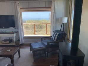 Smart TV, fireplace, DVD player, stereo