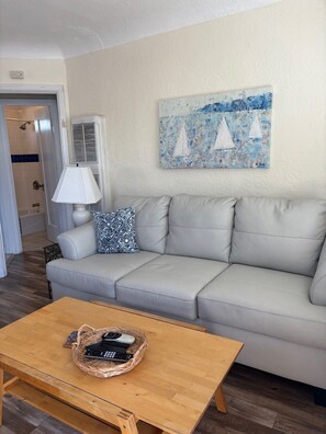 Televisie, een dvd-speler, boeken en een muziekbibliotheek