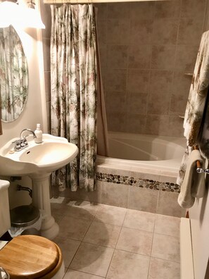 Hair dryer, towels, soap, shampoo - Exquisite Accommodations Farmhouse with over 100 acres (Castleton)