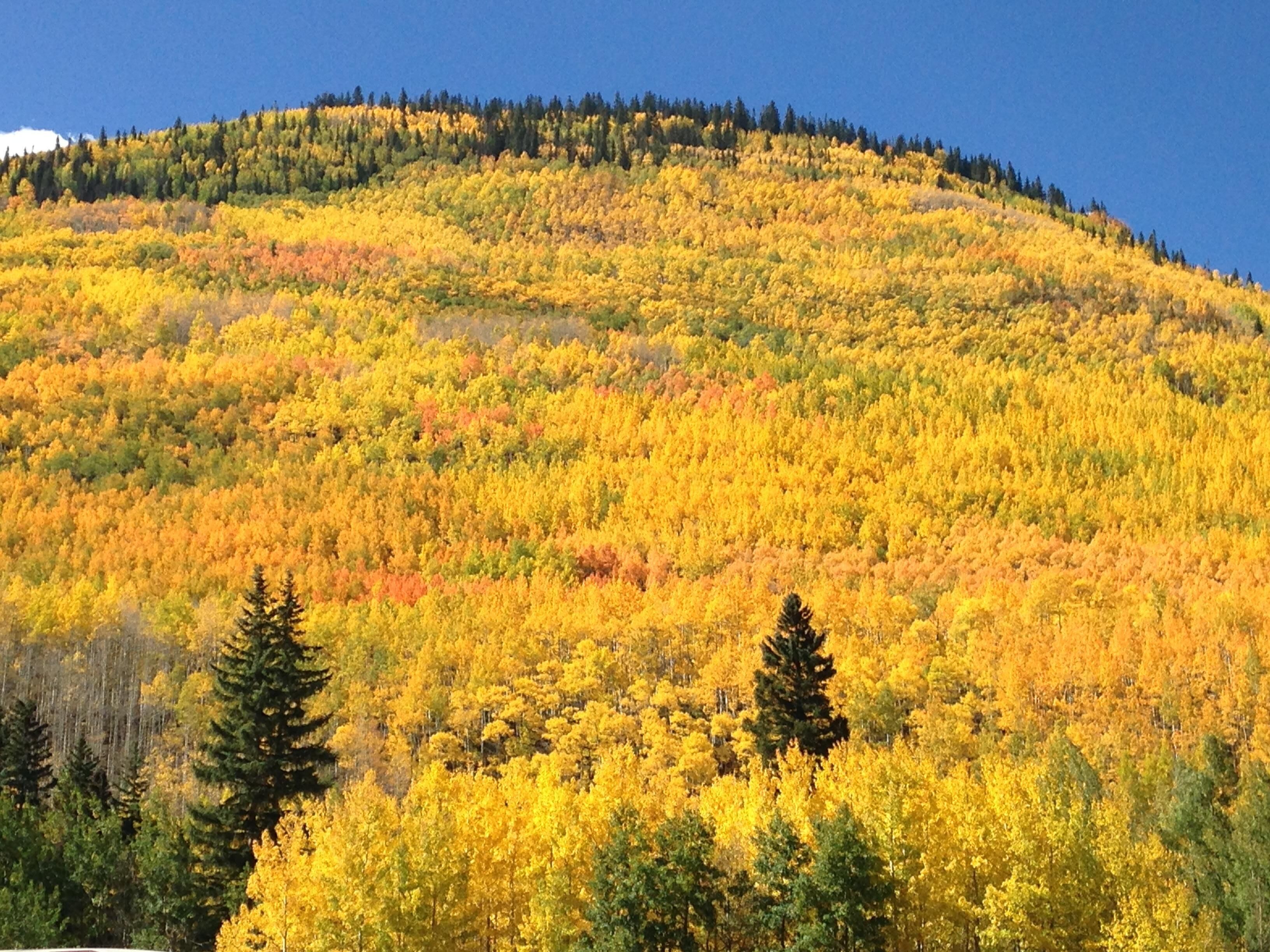 Private vacation home