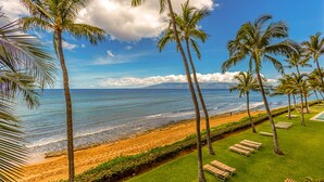 A beach with palm trees, a grassy area with lounge chairs, and a view of the ocean.