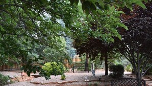 A garden area with a bench, a brick pathway, and various trees and shrubs. - Relaxing, Spiritual, Meditative Residential House - Large yard!  MONTHLY RENTAL. (Sedona)