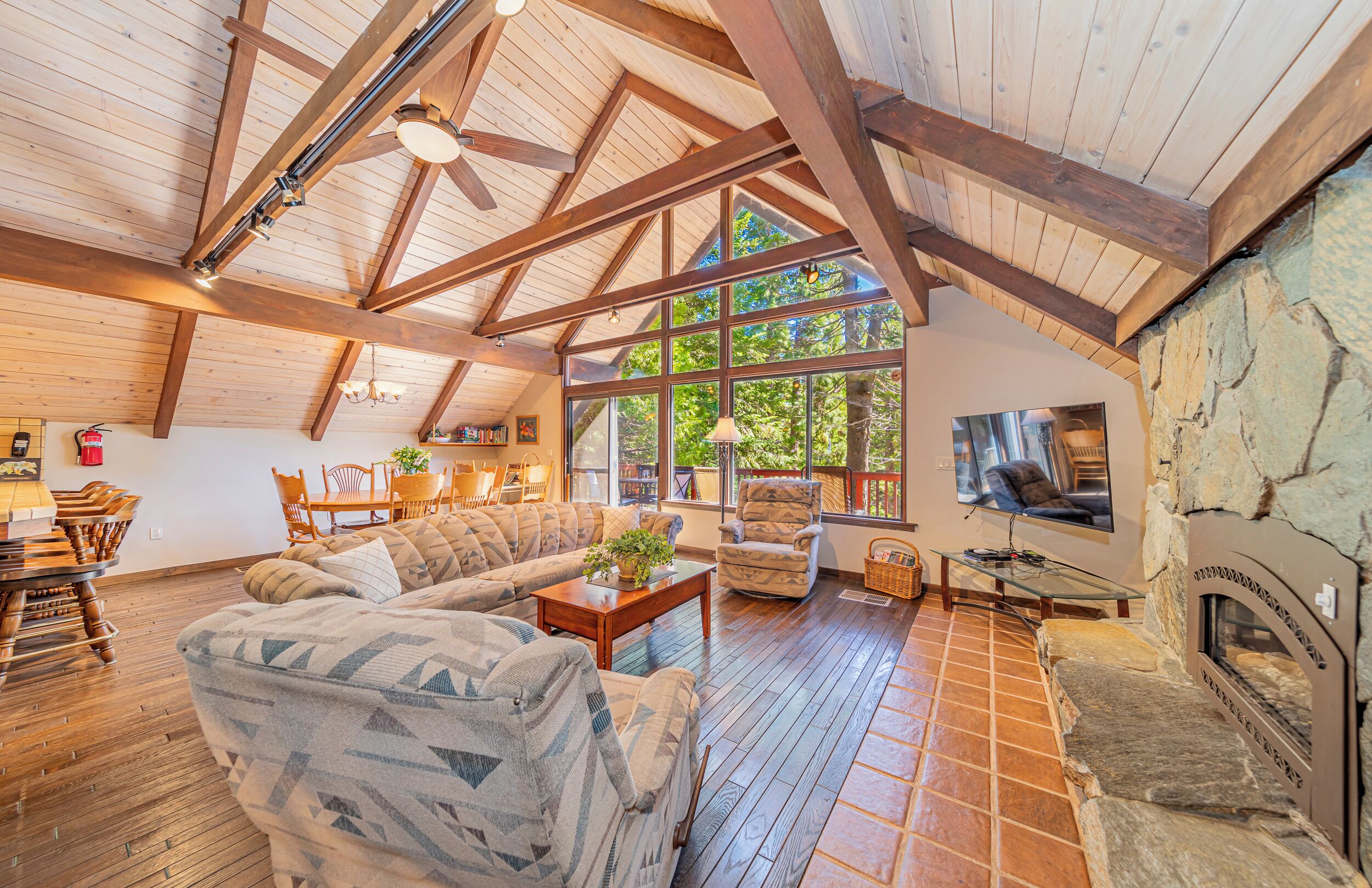 Smart TV, chimenea, libros y biblioteca musical 
