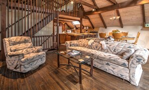 TV connectée, cheminée, livres, médiathèque